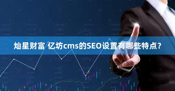 灿星财富 亿坊cms的SEO设置有哪些特点？