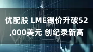 优配股 LME锡价升破52,000美元 创纪录新高