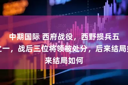 中期国际 西府战役，西野损兵五分之一，战后三位将领被处分，后来结局如何