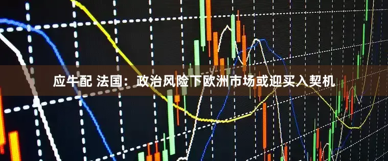 应牛配 法国：政治风险下欧洲市场或迎买入契机